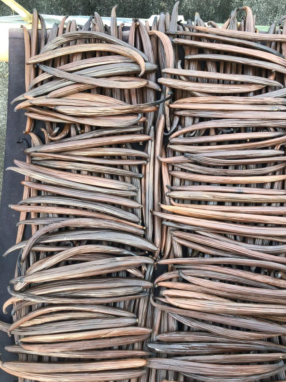 Extraction Grade Vanilla Beans (Grade B)
